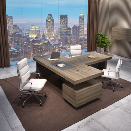 Кабинет руководителя ERA