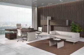 Кабинет руководителя ERA