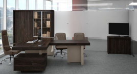 Кабинет руководителя ERA