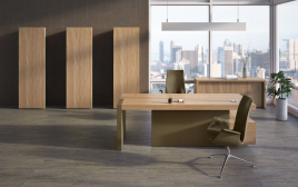 Кабинет руководителя ERA