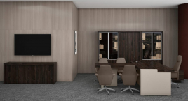 Кабинет руководителя ERA