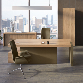 Кабинет руководителя ERA