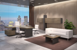 Кабинет руководителя ERA