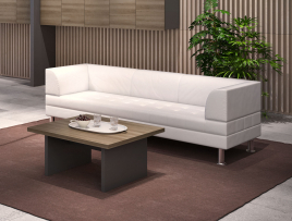 Кабинет руководителя ERA