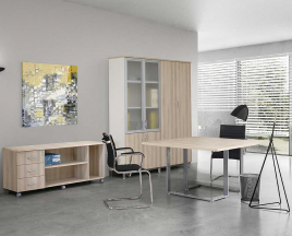 Кабинеты руководителя Prizma