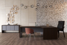 Кабинет руководителя Vegas