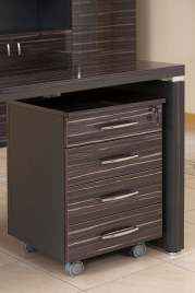 Кабинеты руководителя Venezia