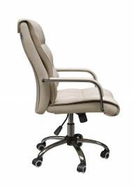 Кресло для руководителя AL 750