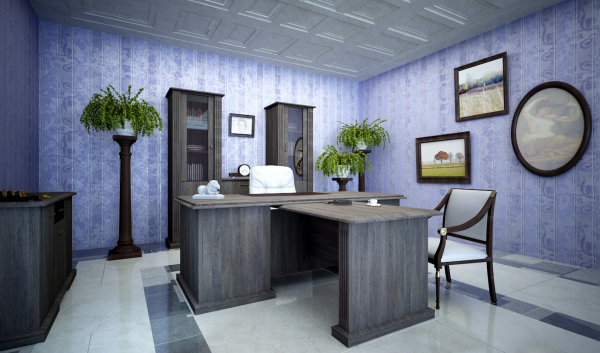 Кабинет руководителя Советник